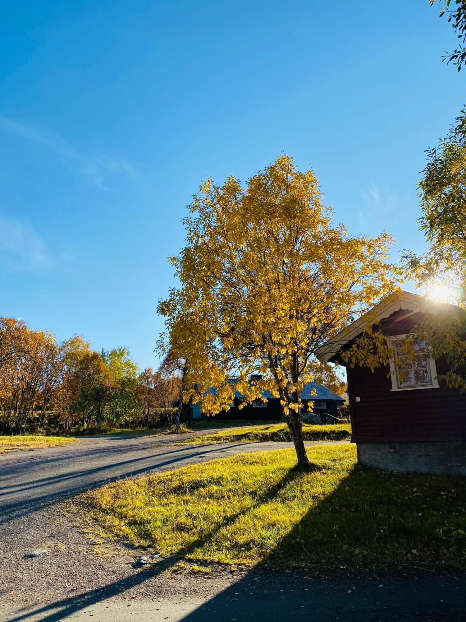 Sortland Camping Og Motell As Экстерьер фото