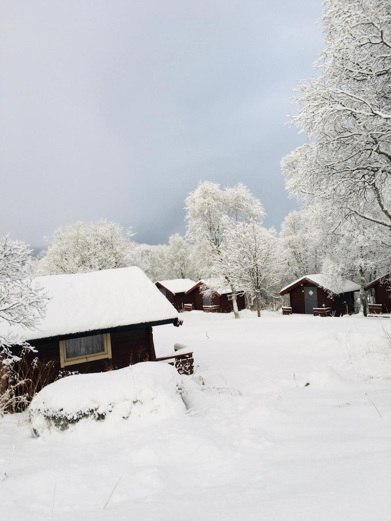 Sortland Camping Og Motell As Экстерьер фото