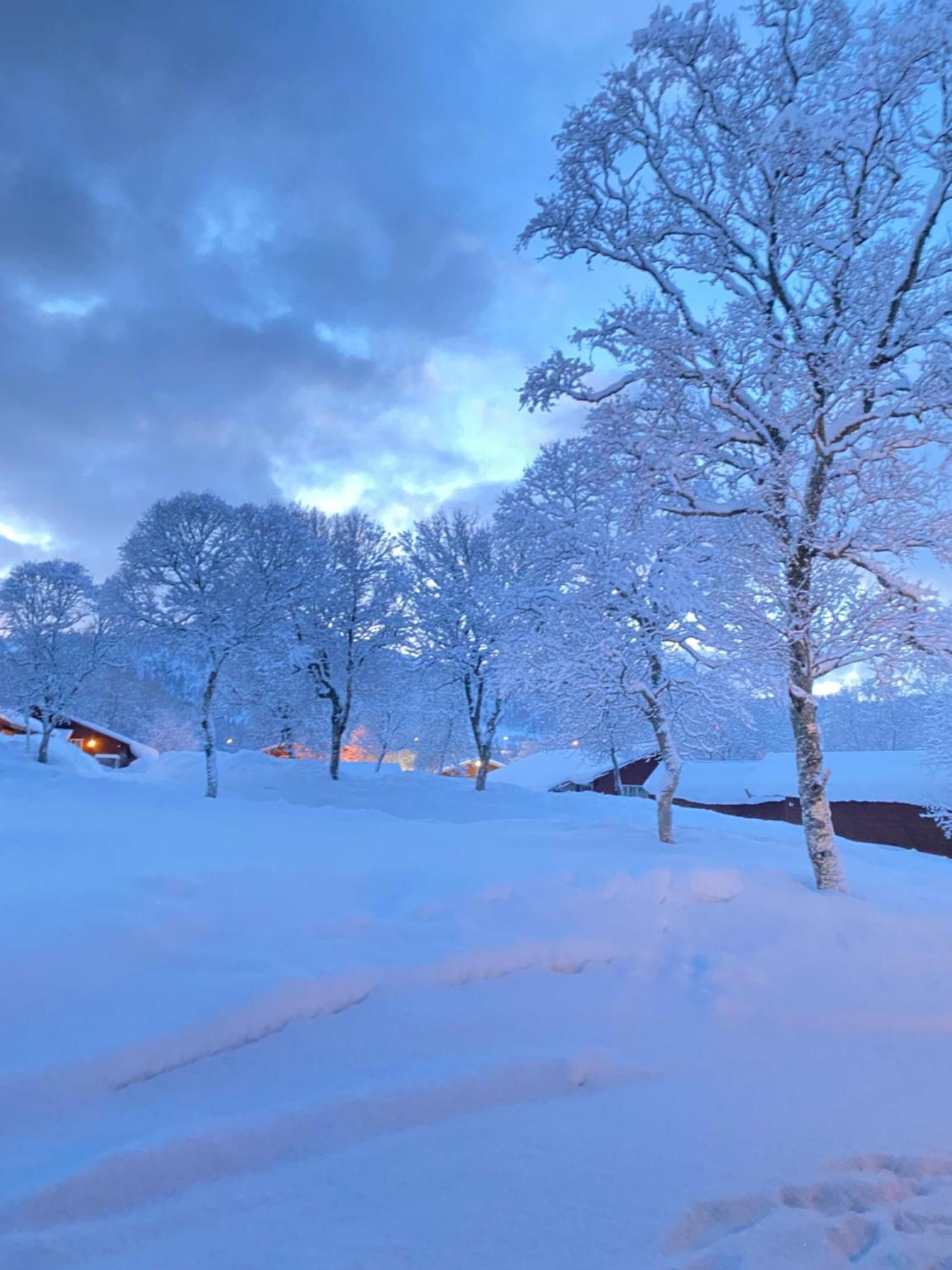 Sortland Camping Og Motell As Экстерьер фото