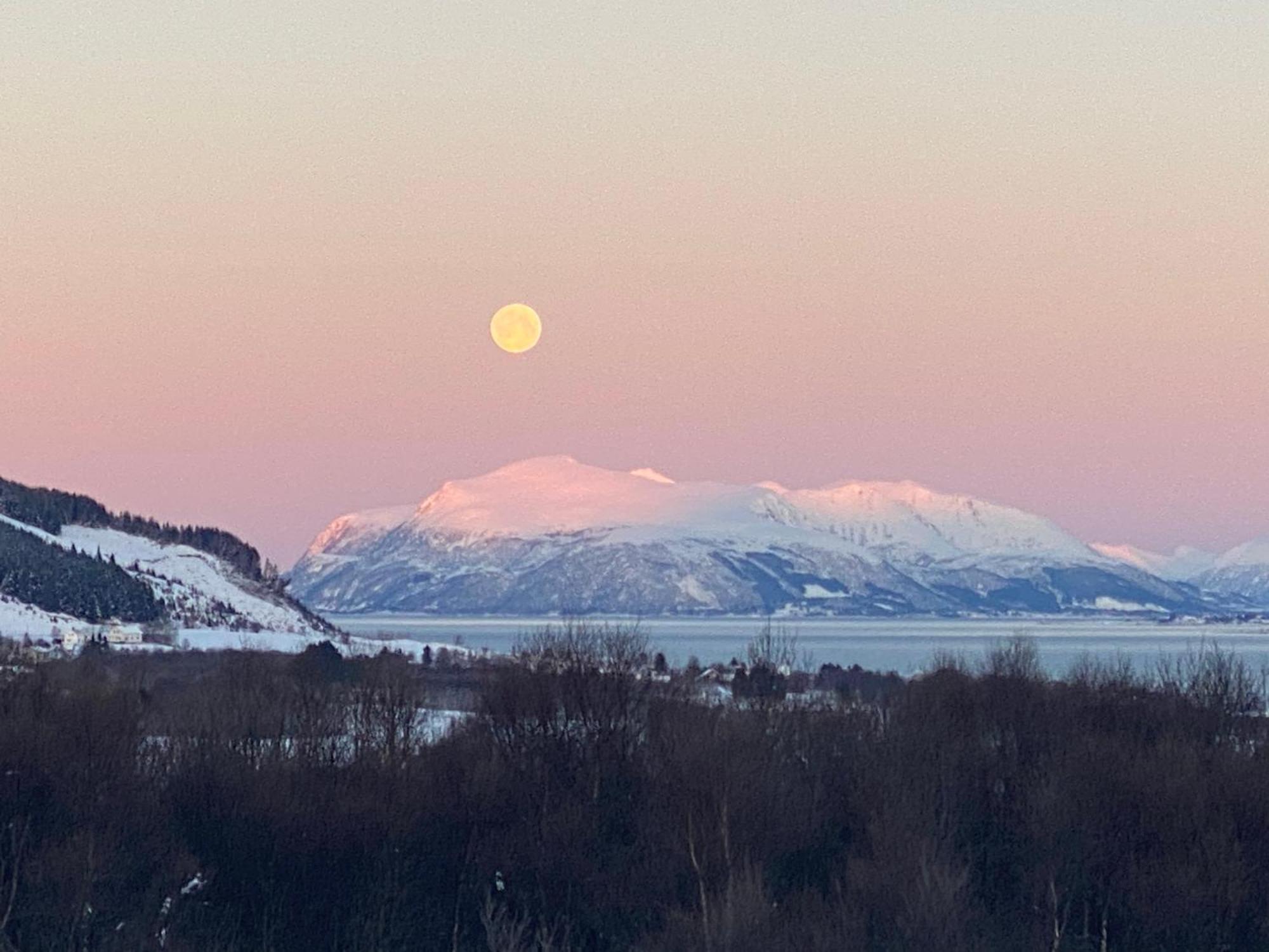 Sortland Camping Og Motell As Экстерьер фото
