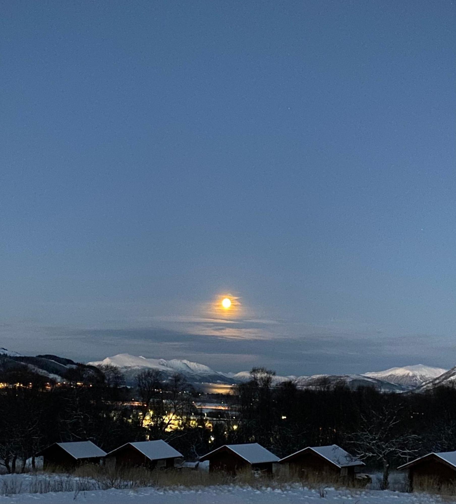 Sortland Camping Og Motell As Экстерьер фото