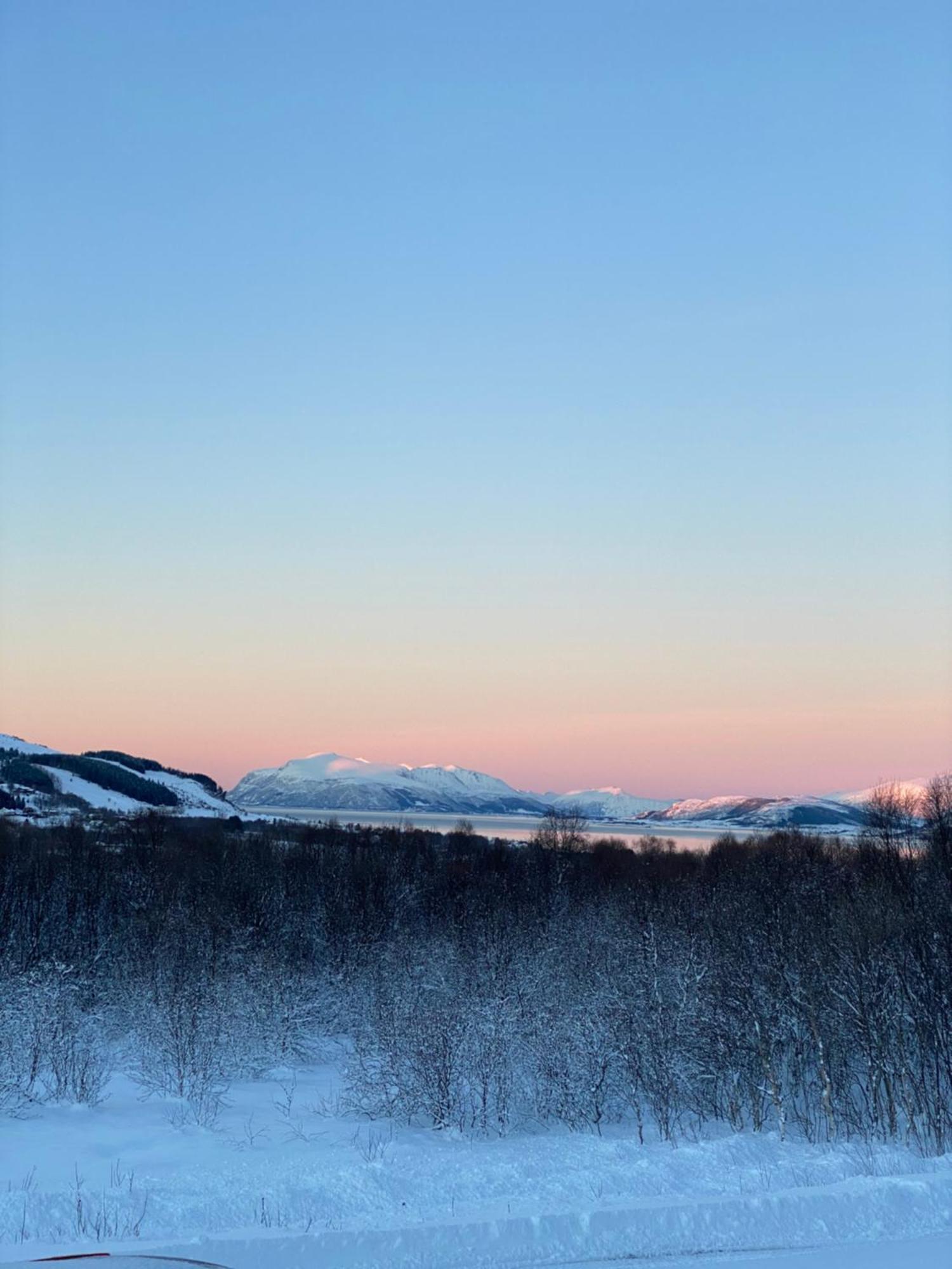 Sortland Camping Og Motell As Экстерьер фото