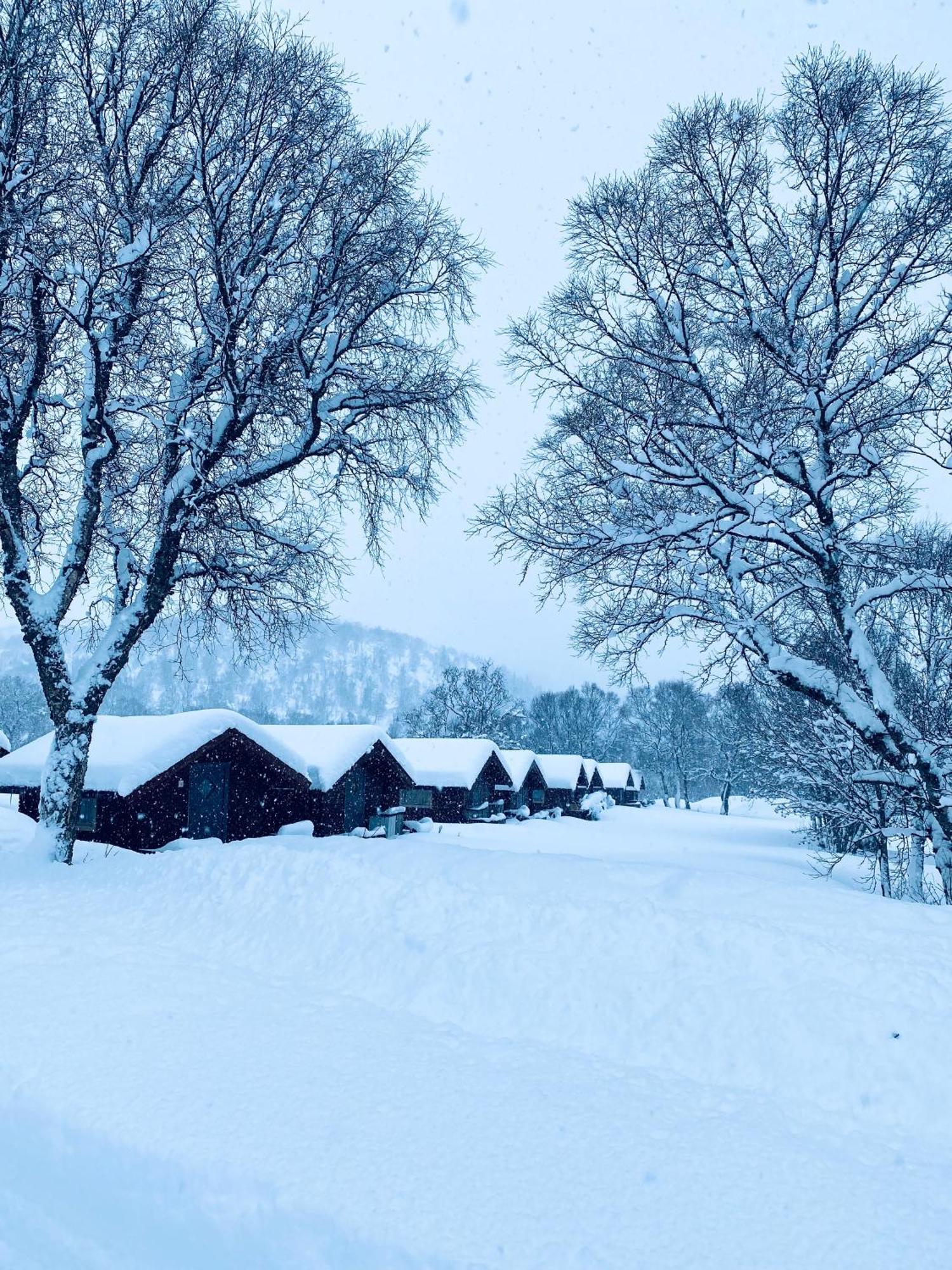 Sortland Camping Og Motell As Экстерьер фото