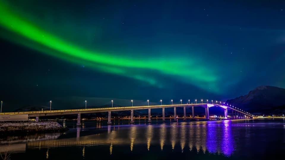 Sortland Camping Og Motell As Экстерьер фото